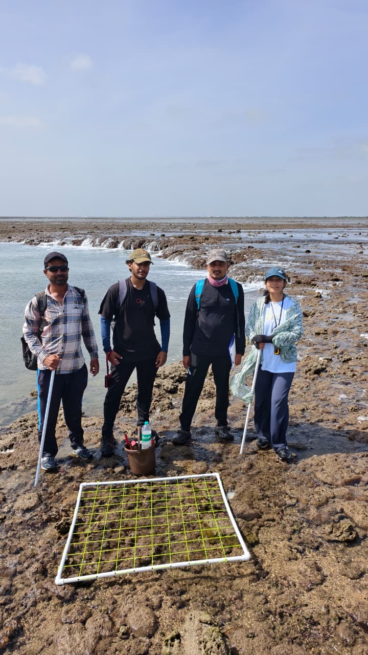 GFRF - Coral Health & Resilience at MNP